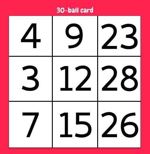 Jogo de bingo de 30 bola